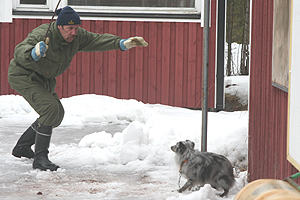 Mimmin luonnetesti